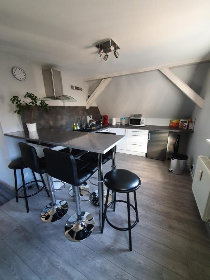 Chic & Cosy Apartman Haguenau Kültér fotó