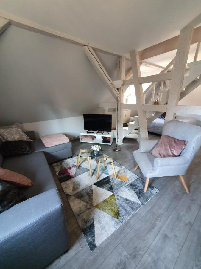 Chic & Cosy Apartman Haguenau Kültér fotó