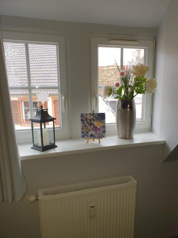 Chic & Cosy Apartman Haguenau Kültér fotó