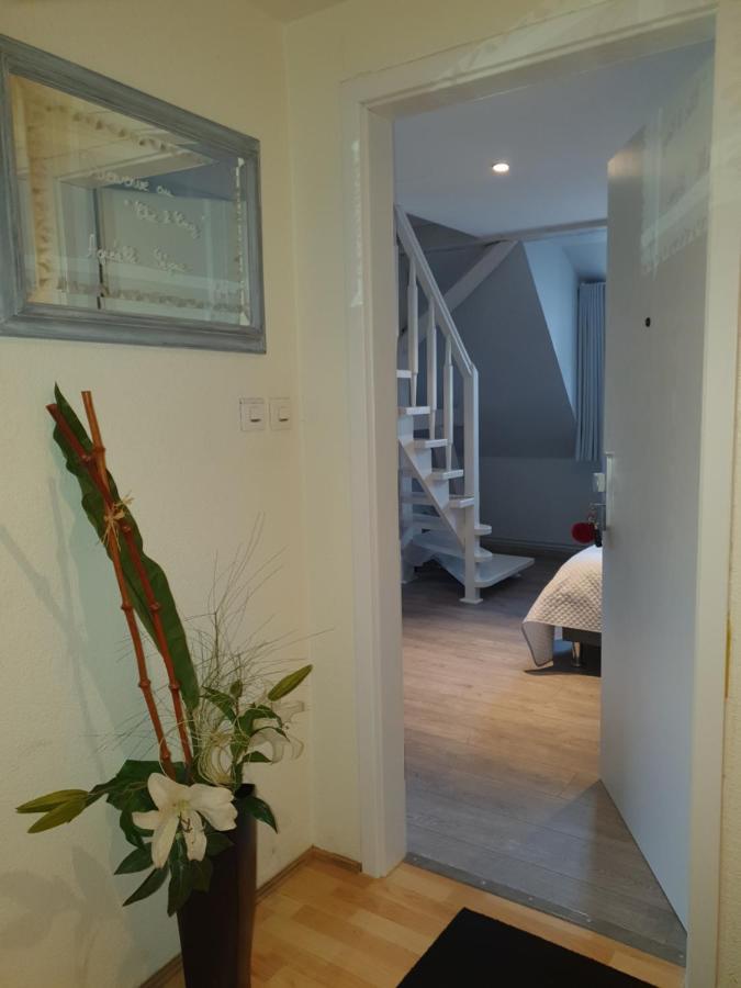 Chic & Cosy Apartman Haguenau Kültér fotó